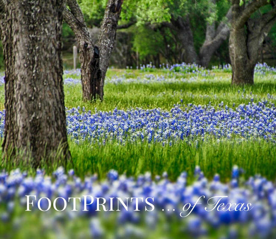 View FOOTPRINTS...of Texas by Tania Barnard