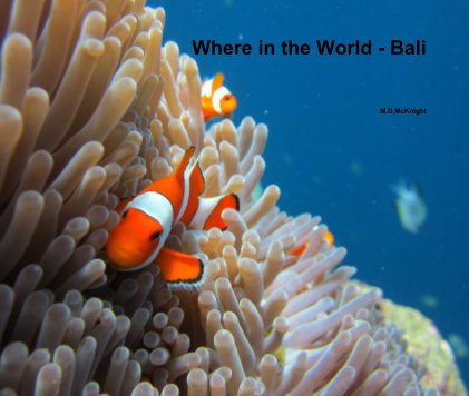 Where in the World - Bali book cover