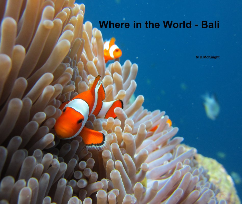 Ver Where in the World - Bali por MDMcKnight