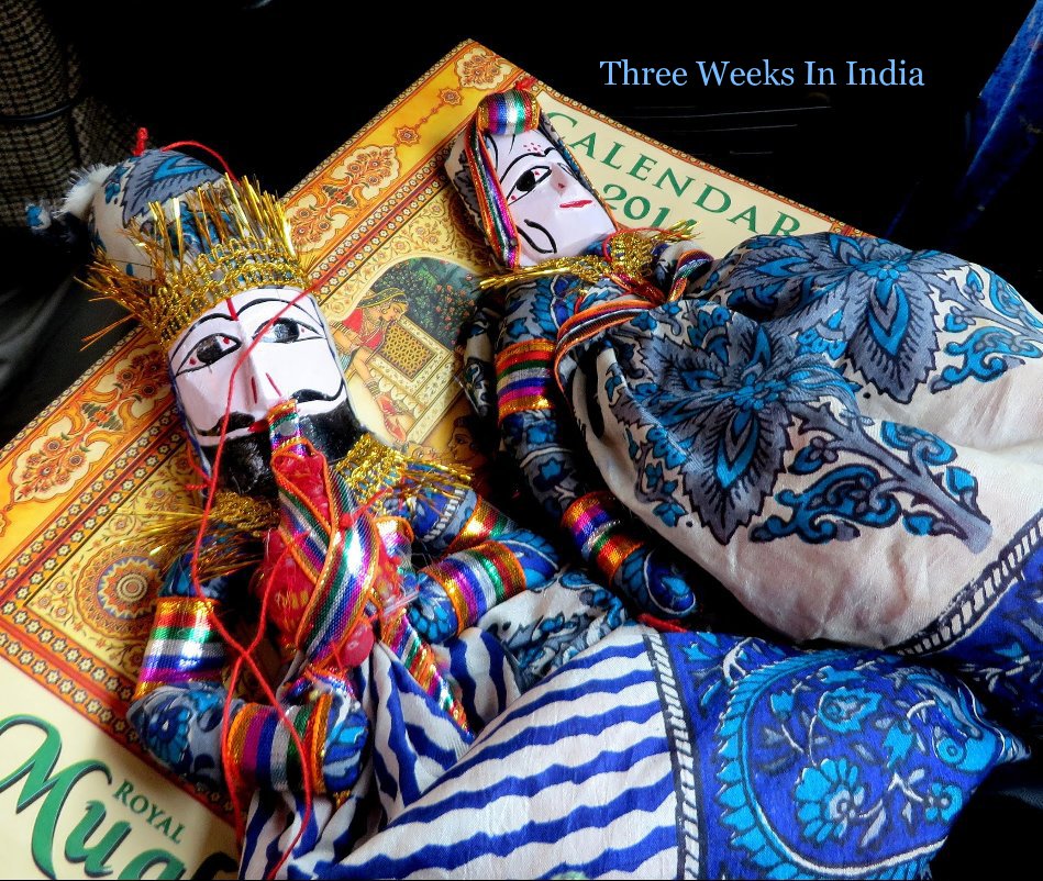 View three weeks in india by Dorothy Bond