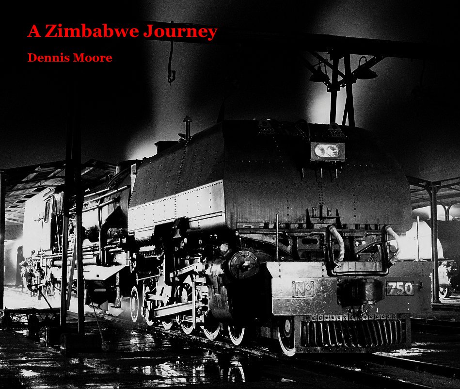 Ver A ZIMBABWE JOURNEY   Very Large Landscape Format (revised and expanded edition) por Dennis Moore