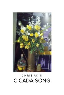 CICADA SONG  PART III book cover