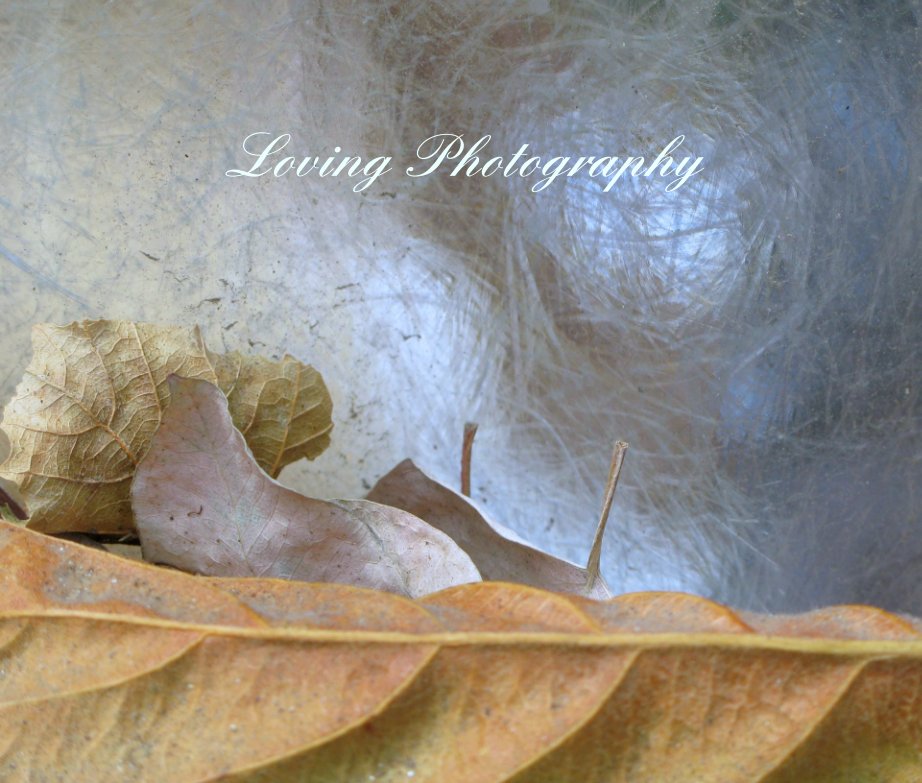 View Loving Photography by Jane Underwood