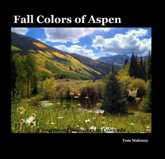 View Fall Colors of Aspen by Tom Maloney