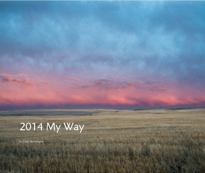 2014 My Way book cover