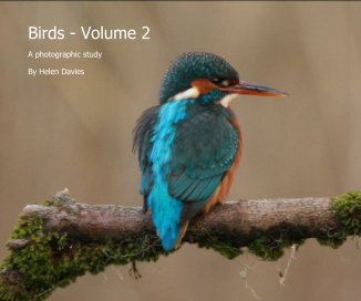 Birds - Volume 2 book cover