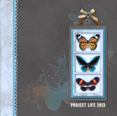 Project Life 2013 book cover