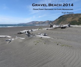 Gravel Beach 2014 book cover