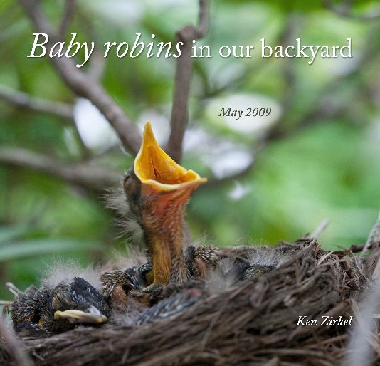 Baby Robins in our backyard nach Kenneth Zirkel anzeigen