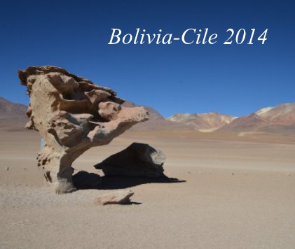 Bolivia-Cile 2014 book cover