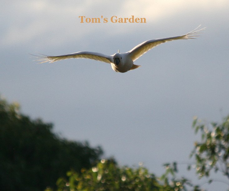 Ver Tom's Garden por Paul & Lesley Hulbert