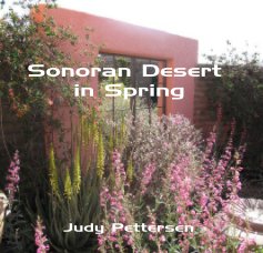 Sonoran Desert in Spring book cover