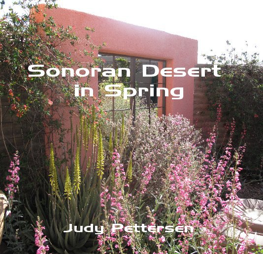 View Sonoran Desert in Spring by Judy Pettersen