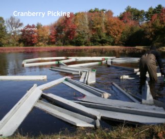Cranberry Picking book cover