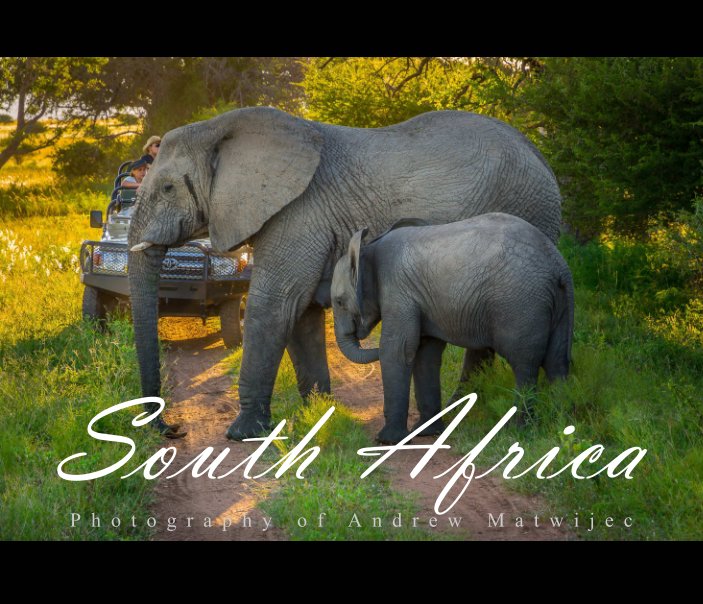 View South Africa by Andrew Matwijec