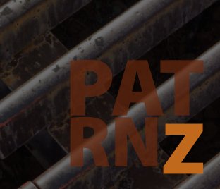 PATRNZ book cover