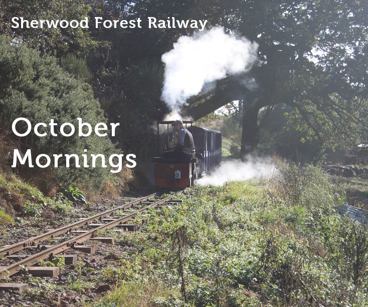 View Sherwood Forest Railway October Mornings by Matt Nunn