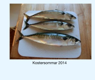 Kostersommar 2014 book cover