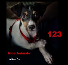 123 Nice Animals book cover