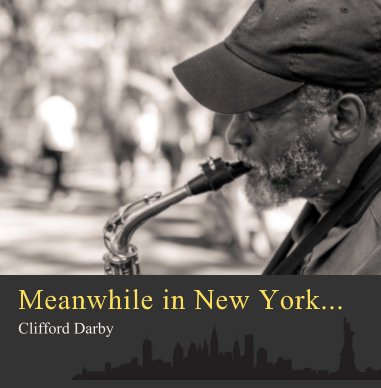 Meanwhile in New York... book cover