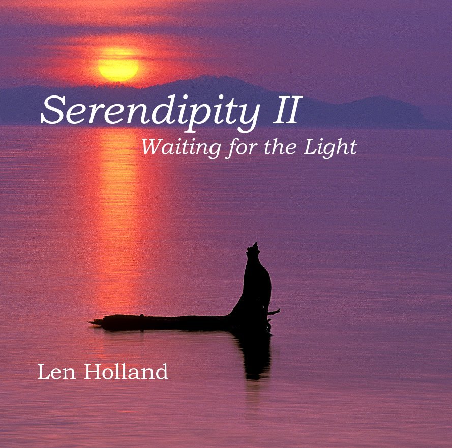 View Serendipity II Waiting for the Light by Len Holland