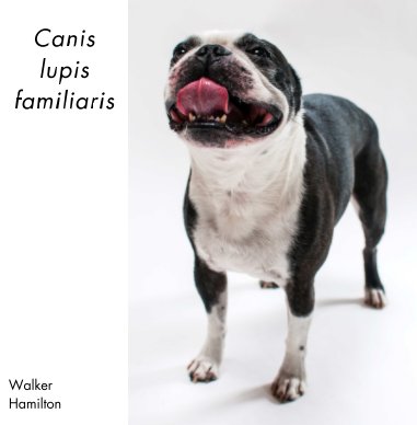 Canis lupis familiaris book cover