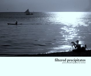 filtered precipitates book cover