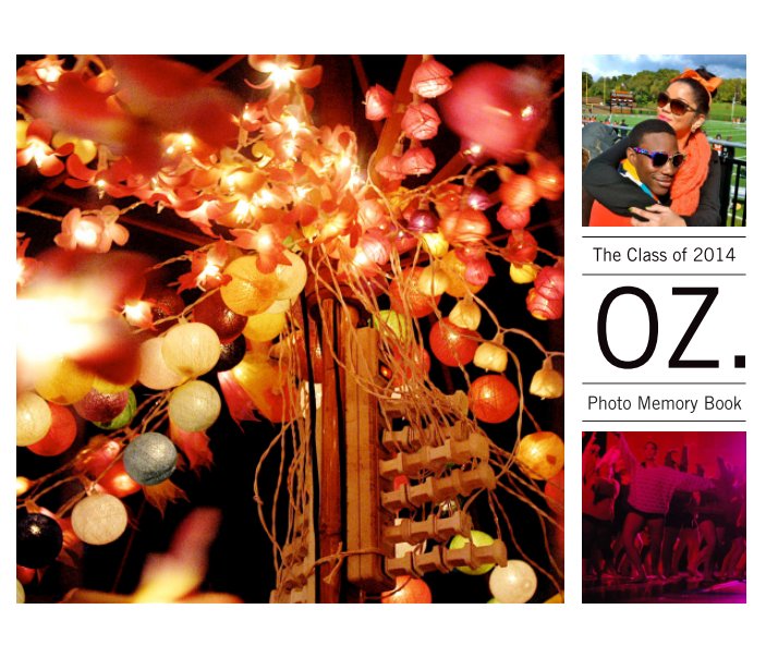 Ver OrangeZest 2014 (Hardcover) por Laurel Prince '14