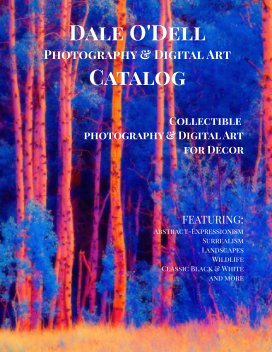 Dale O'Dell Art Catalog book cover