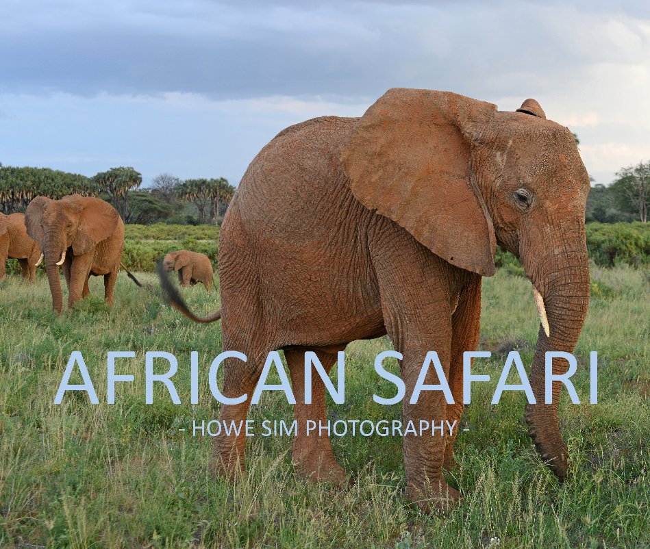View African Safari by Howe Sim Photography
