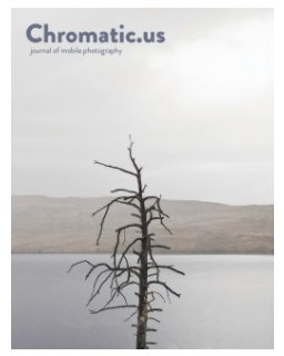 Chromatic.us book cover