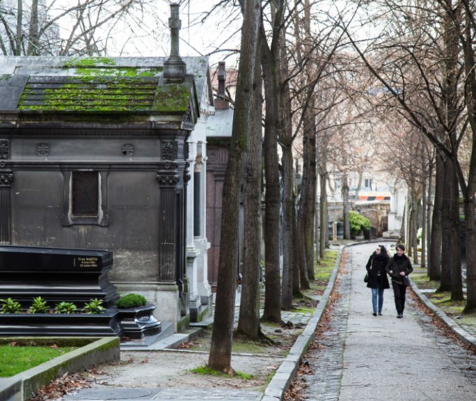 View Pere Lachaise Cemetary by Liz Lazarus