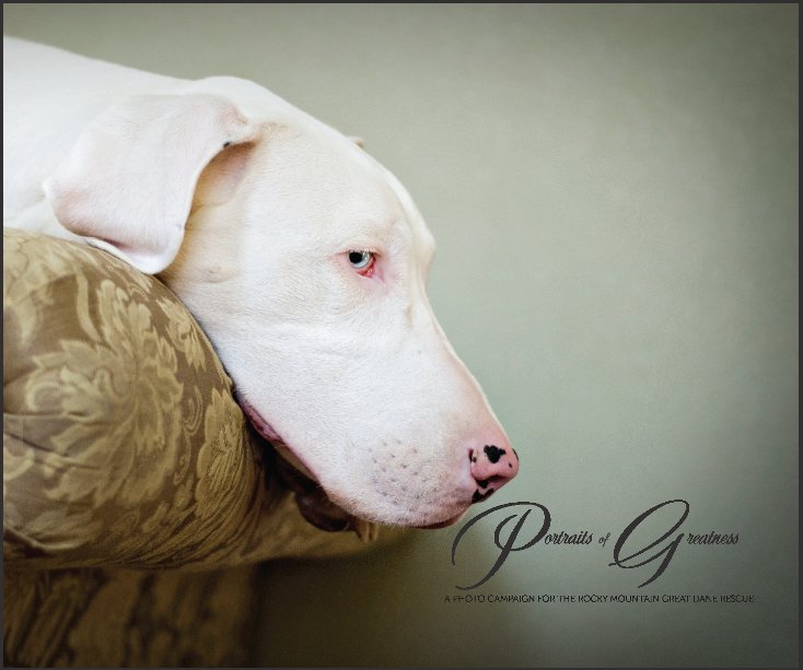 View Portraits of Greatness by Claire Bow, Rouxby Photography for The Dane Campaign