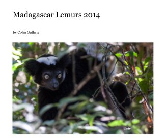 Madagascar Lemurs 2014 book cover