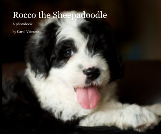 Rocco the Sheepadoodle (102 pages) book cover
