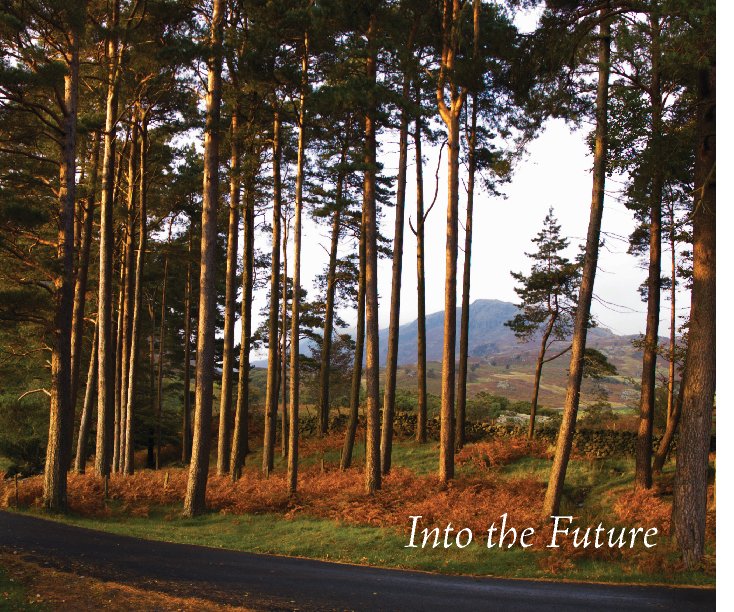 Ver Into the Future por Mark and Jo Howells-Mead