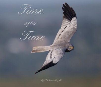 Time after Time book cover