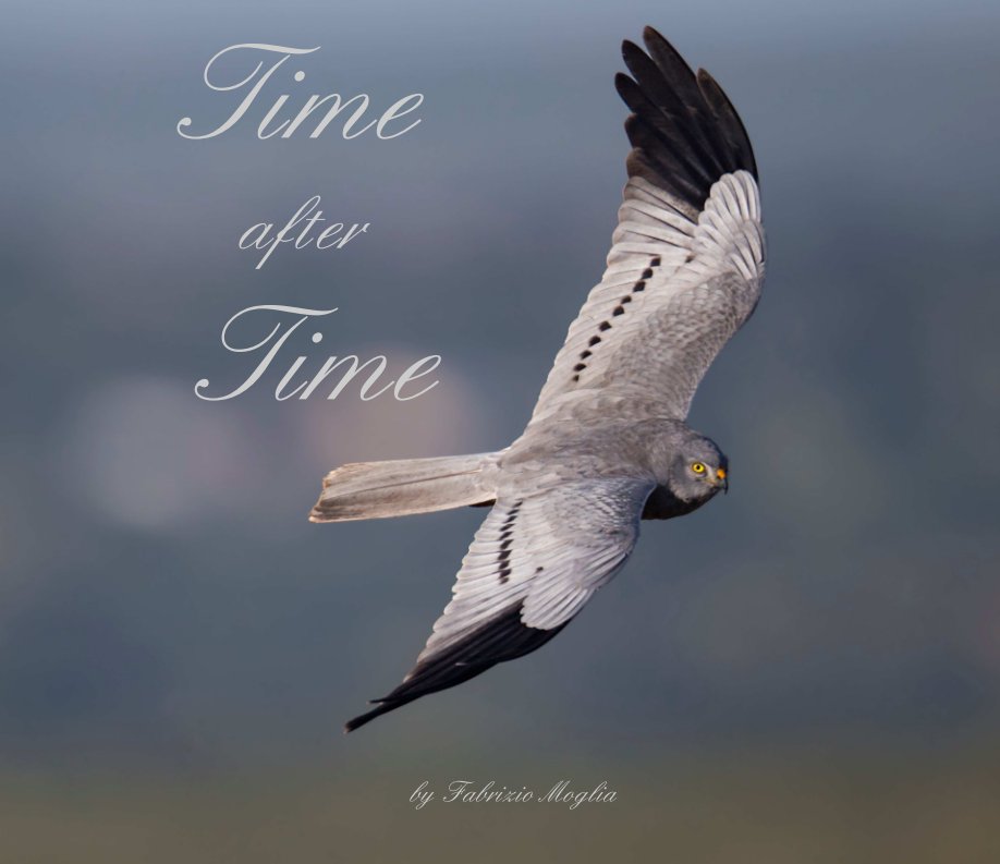View Time after Time by Fabrizio Moglia