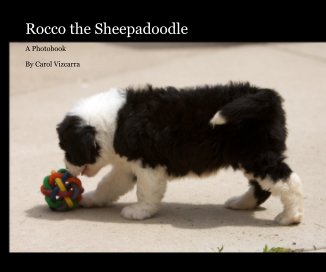 Rocco the Sheepadoodle (26 page) book cover