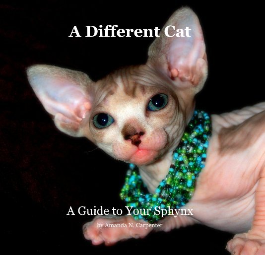 View A Different Cat by Amanda N. Carpenter