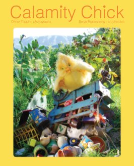 Calamity Chick book cover