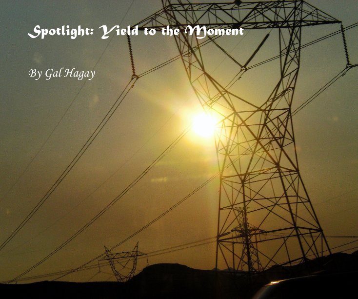 View Spotlight: Yield to the Moment by Gal Hagay