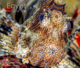 Egypt - Red Sea - Hurghada - November 2014 book cover
