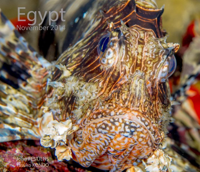 Egypt - Red Sea - Hurghada - November 2014 nach John FESTJENS anzeigen