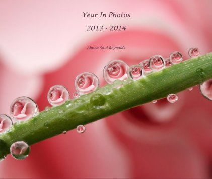 Year In Photos 2013 - 2014 book cover