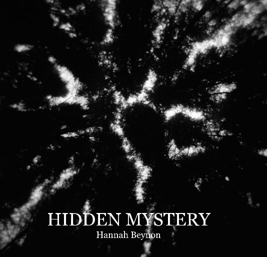 View HIDDEN MYSTERY by Hannah Beynon