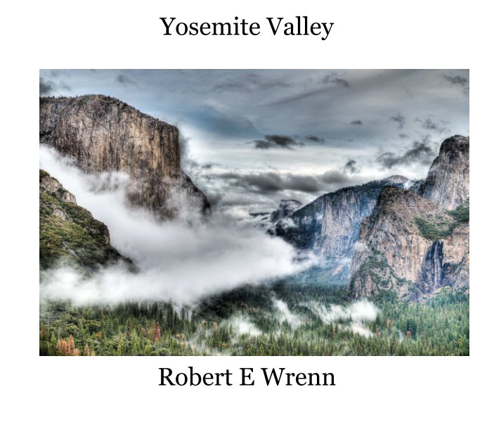 View Yosemite Valley by Robert E Wrenn