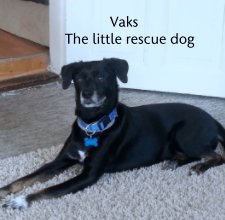 Vaks
             The little rescue dog book cover