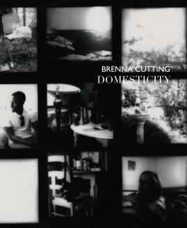 Domesticity book cover