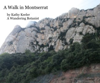 A Walk in Montserrat book cover